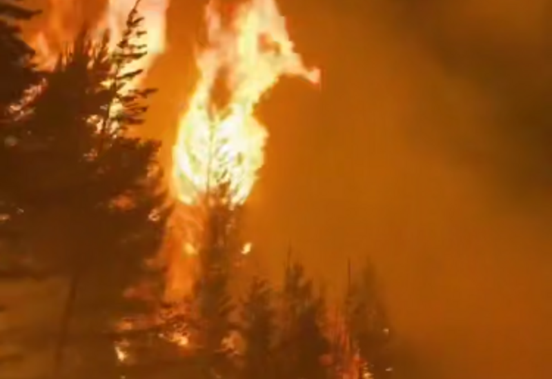 Лесные пожары бушуют в Аргентине