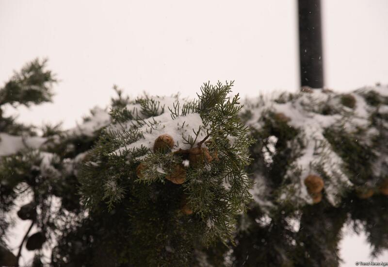 В Азербайджане идет снег