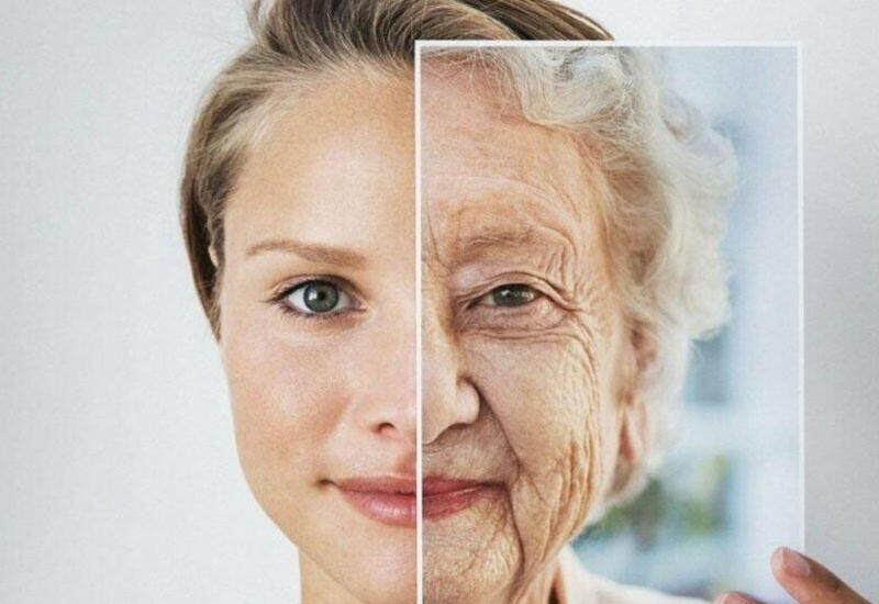 Qocalmaqla bağlı yeni kəşf