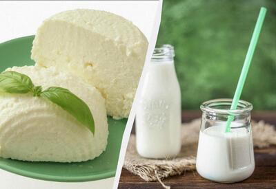 Греческий йогурт или творог: <span class="color_red">эксперты объяснили</span>