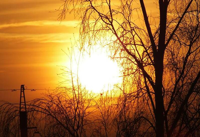 Астроном предупредил о мощных всплесках солнечной активности