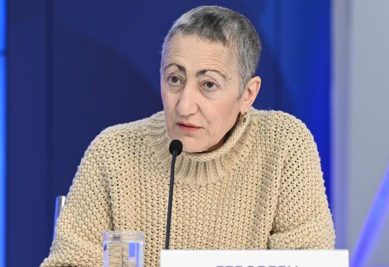 Провокация Геворкян против Азербайджана: от «иранистки» до истерички