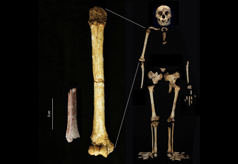 Разгадана тайна исчезнувших «людей-хоббитов»