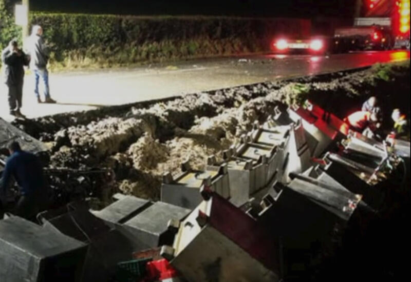 Крабы и устрицы на 18 часов заблокировали движение в Ирландии