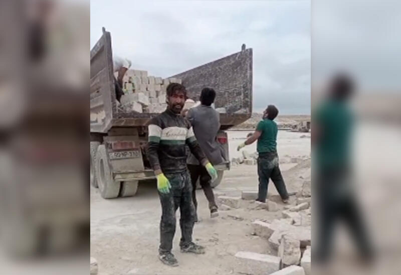 Meyiti tapılan Kamalın papağı başqa yerdə aşkarlanıb