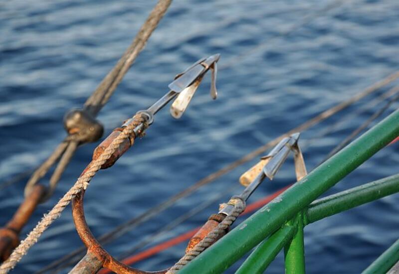 Юный рыболов поймал самую большую в мире меч-рыбу