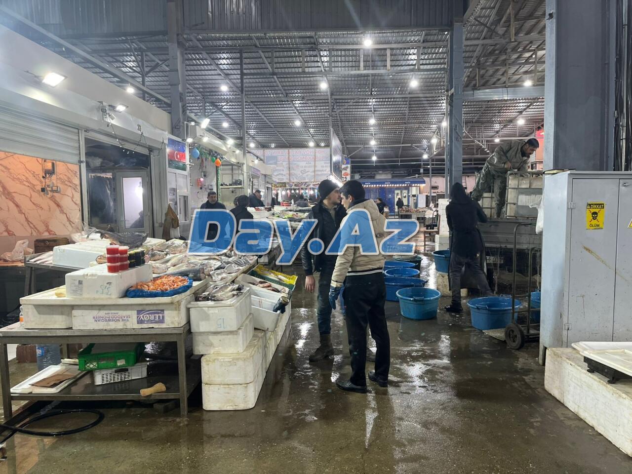 Farel bahalaşıb, digər növlər necədir?