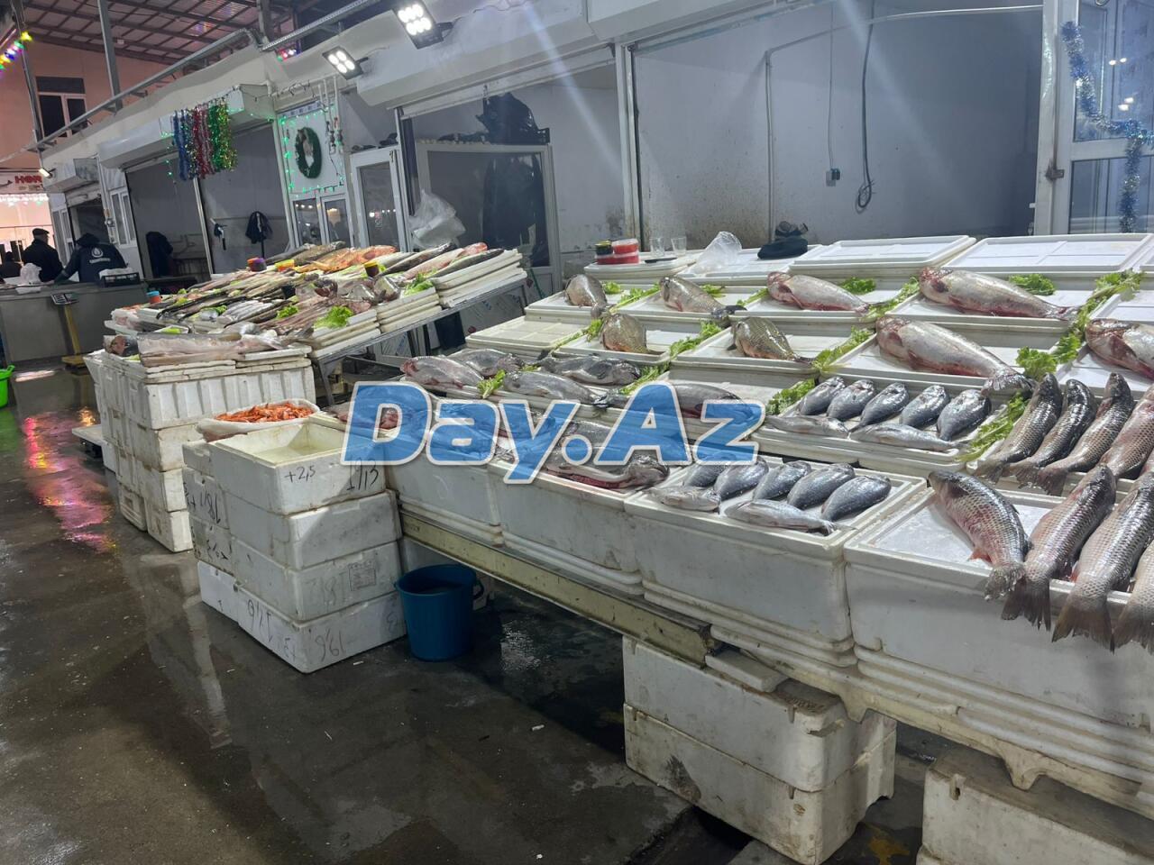 Farel bahalaşıb, digər növlər necədir?