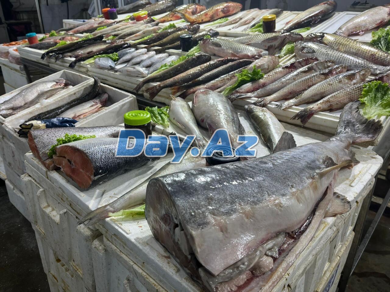 Farel bahalaşıb, digər növlər necədir?