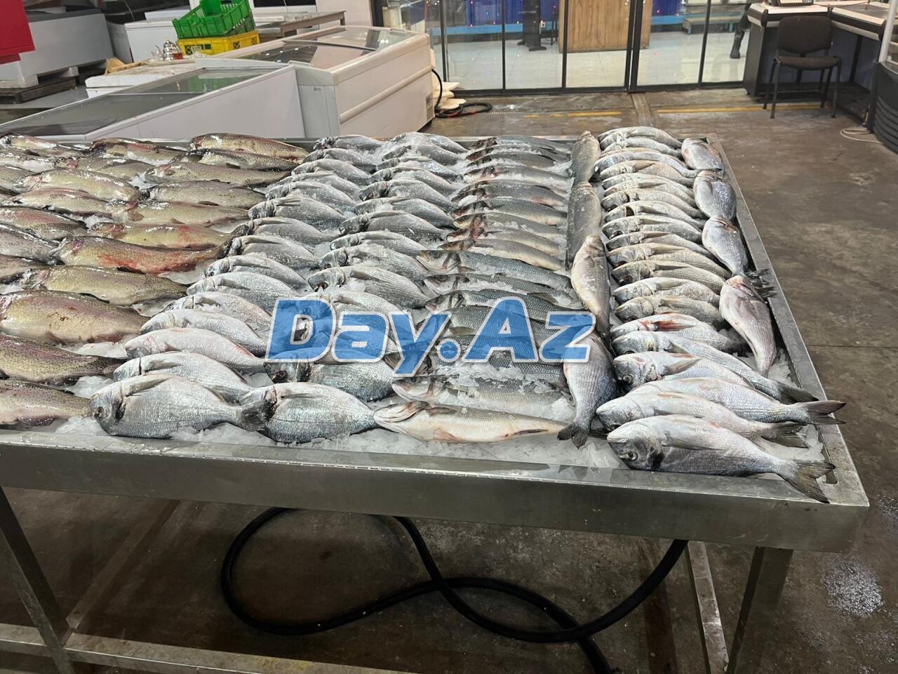 Farel bahalaşıb, digər növlər necədir?