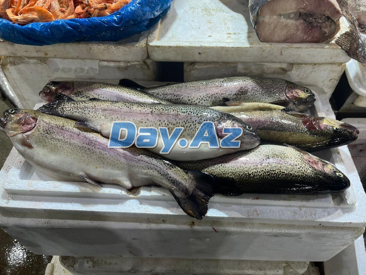 Farel bahalaşıb, digər növlər necədir?