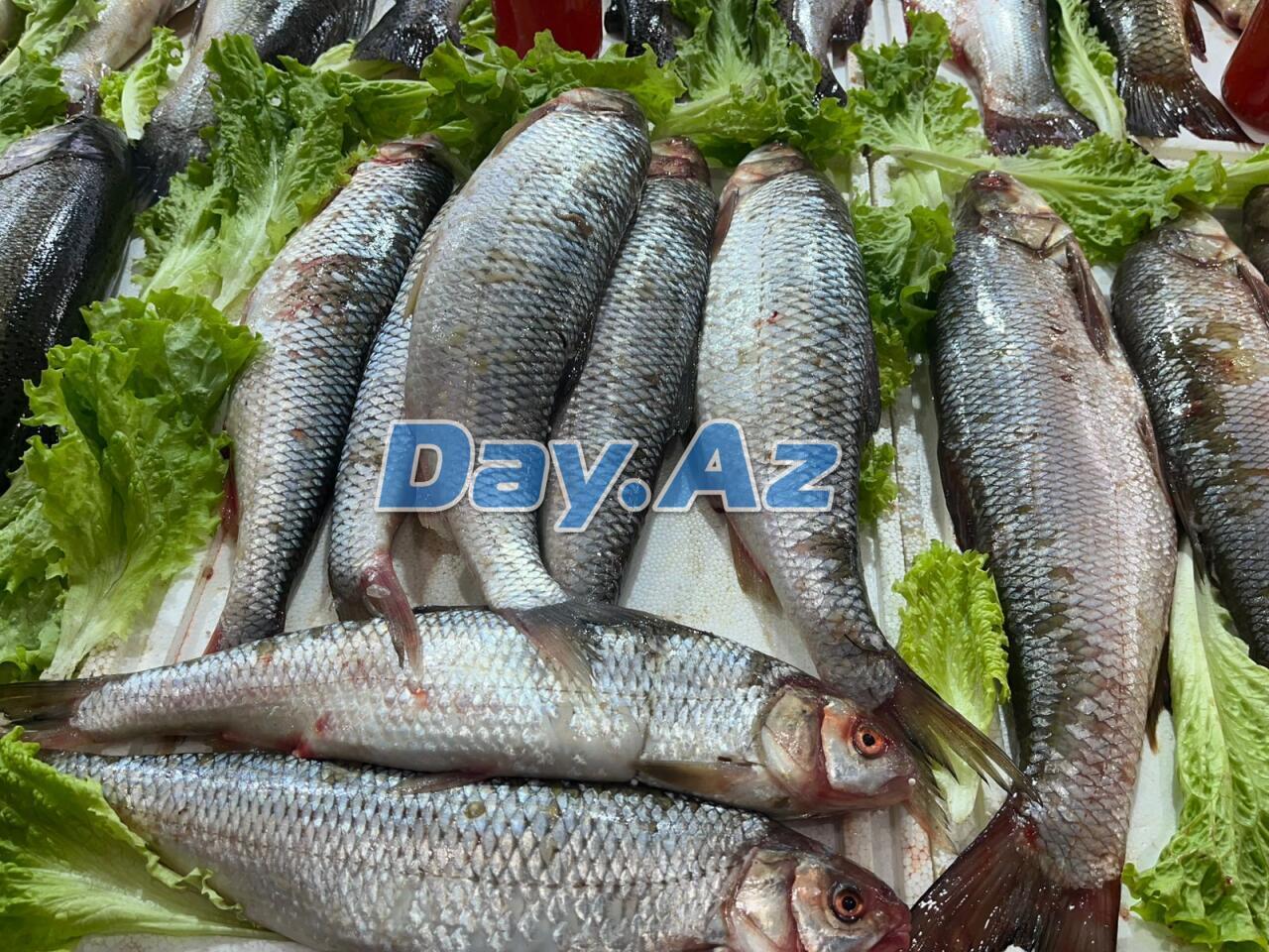 Farel bahalaşıb, digər növlər necədir?