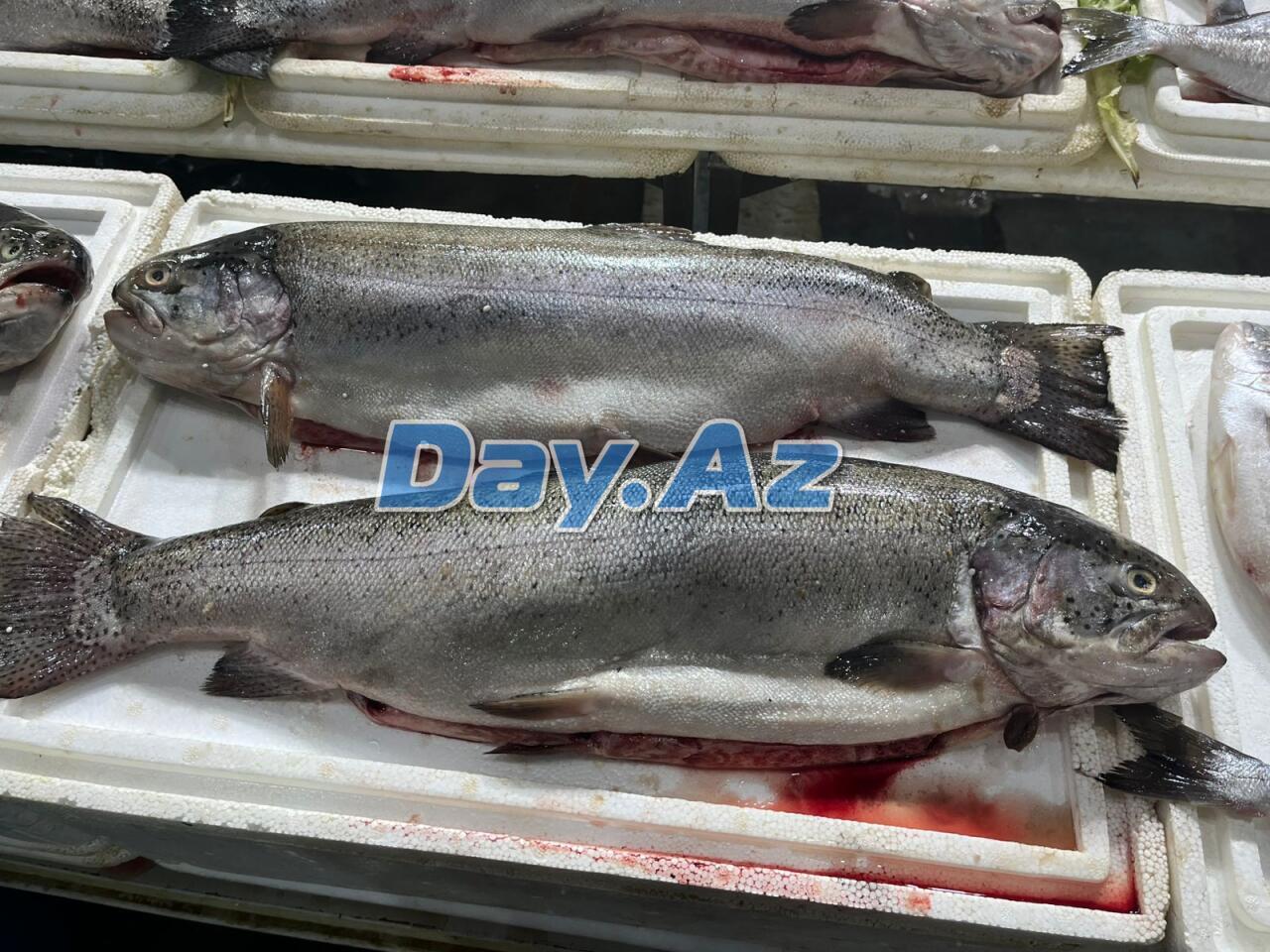 Farel bahalaşıb, digər növlər necədir?