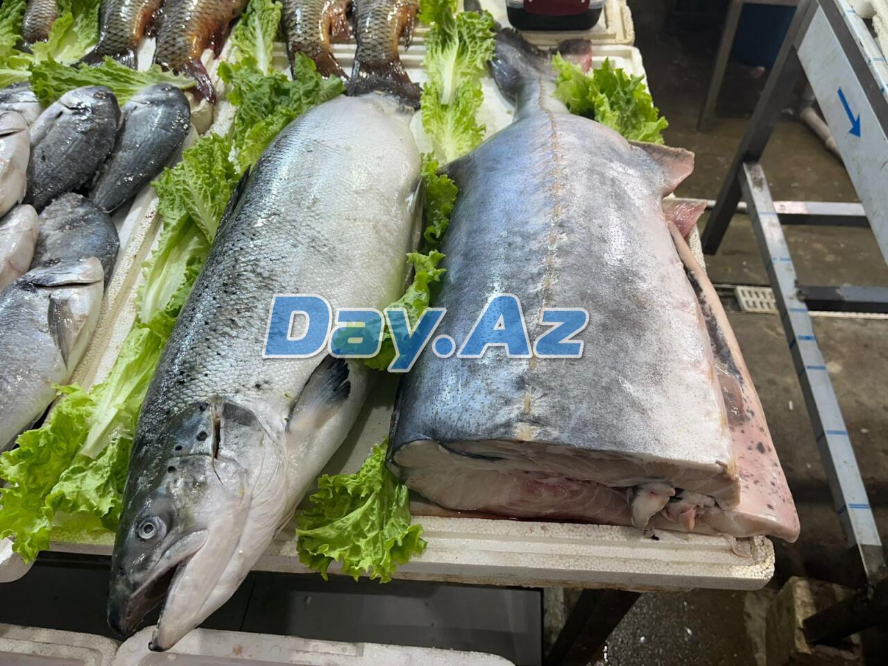 Farel bahalaşıb, digər növlər necədir?