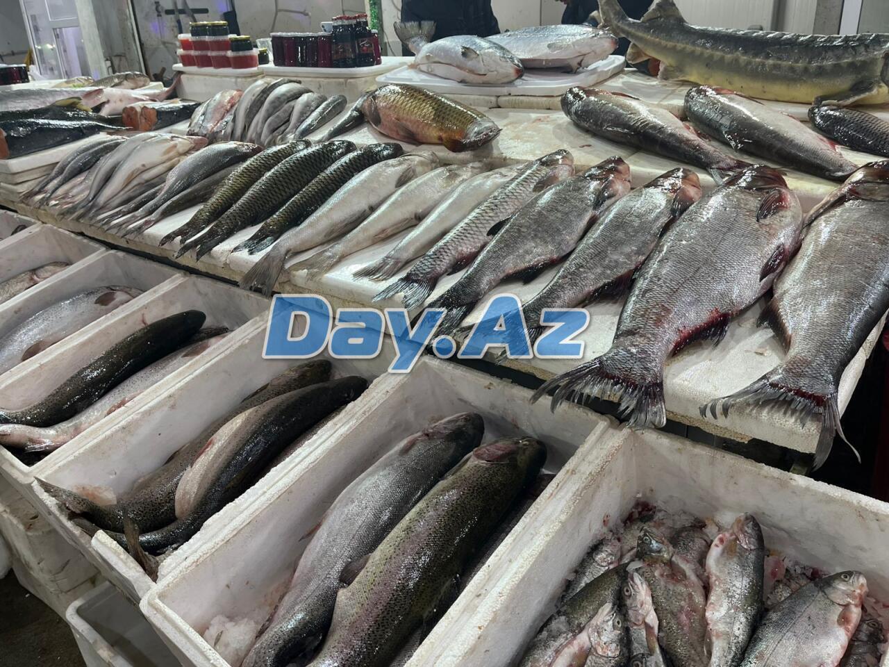 Farel bahalaşıb, digər növlər necədir?