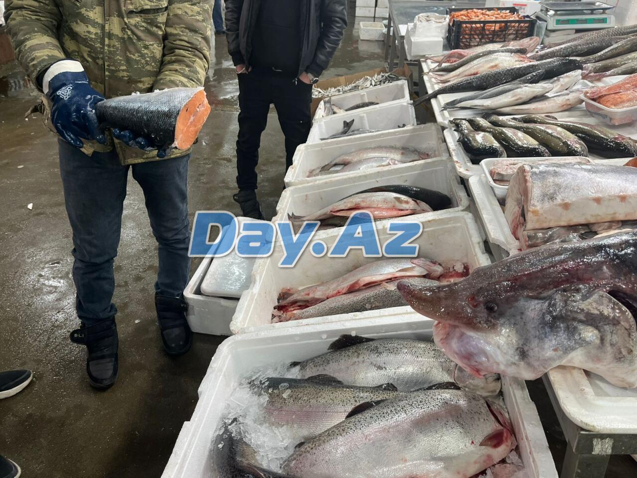 Farel bahalaşıb, digər növlər necədir?