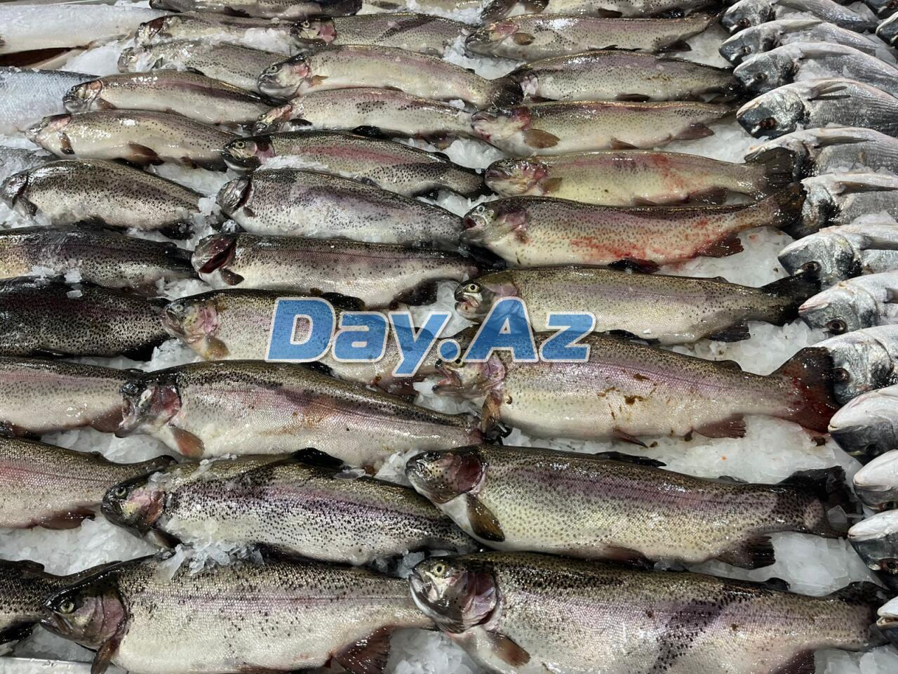 Farel bahalaşıb, digər növlər necədir?