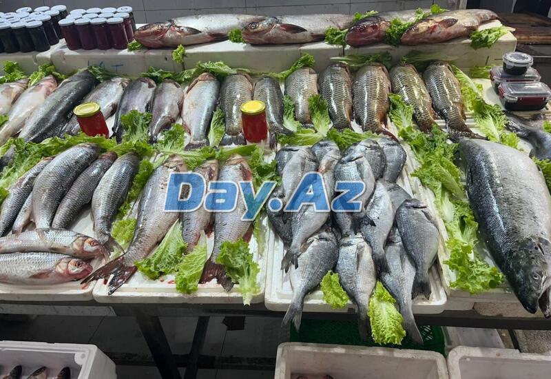Как утверждение квот на вылов повлияло на цены на рыбу в Азербайджане?