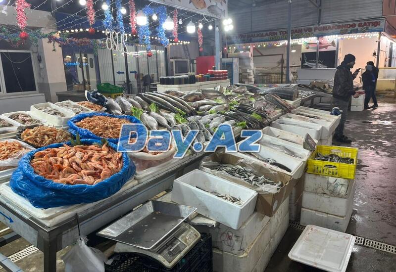 Farel bahalaşıb, digər növlər necədir?