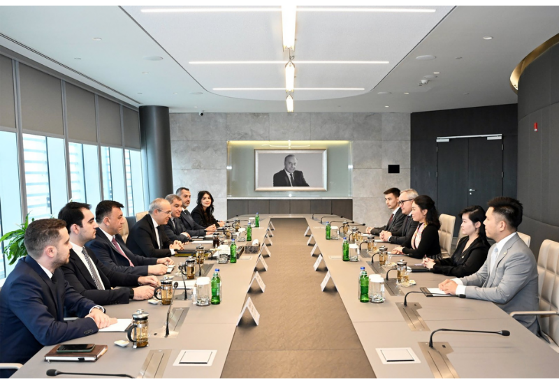 Азербайджан и Вьетнам обсудили сотрудничество в сфере производства электромобилей