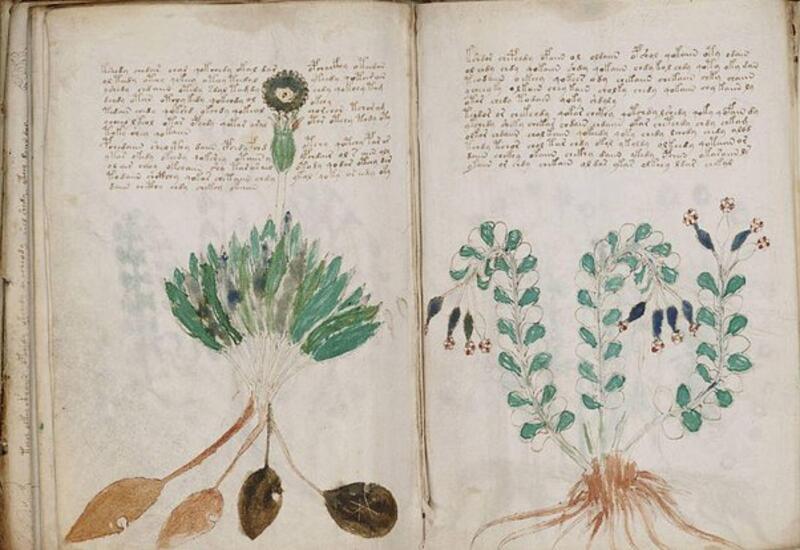 Таинственная древняя рукопись оказалась шифром