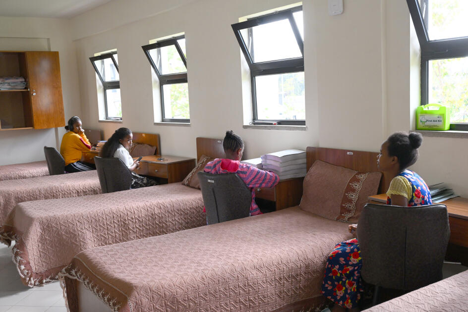 Heydər Əliyev Fondunun vitse-prezidenti Leyla Əliyeva Əddis-Əbəbədə bir sıra sosial və mədəni obyektlərlə tanış olub