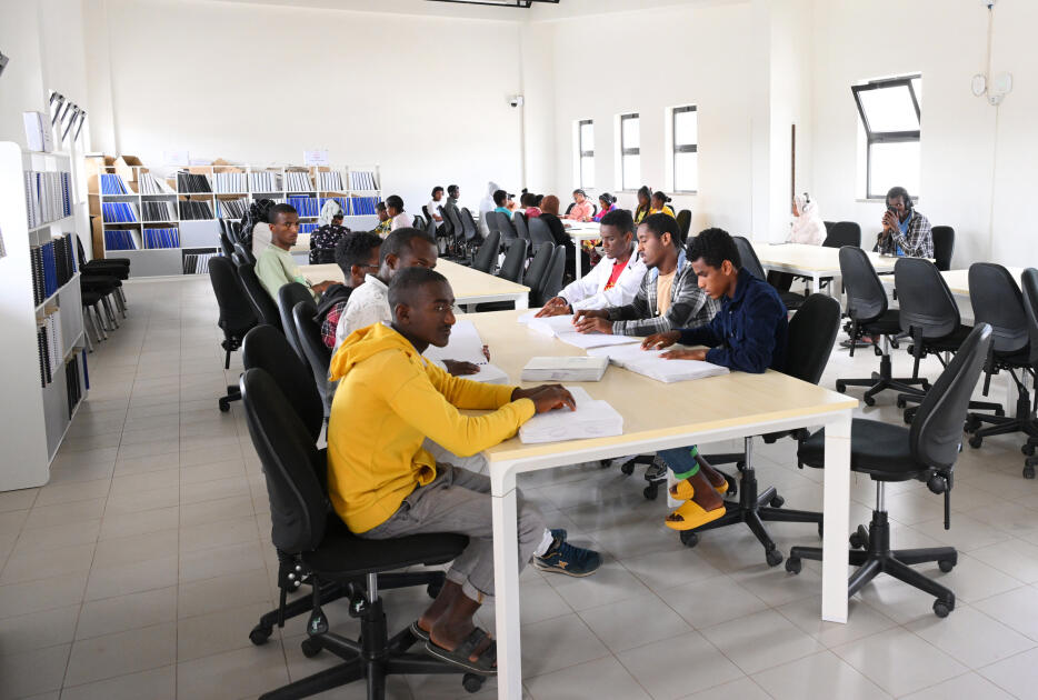 Heydər Əliyev Fondunun vitse-prezidenti Leyla Əliyeva Əddis-Əbəbədə bir sıra sosial və mədəni obyektlərlə tanış olub