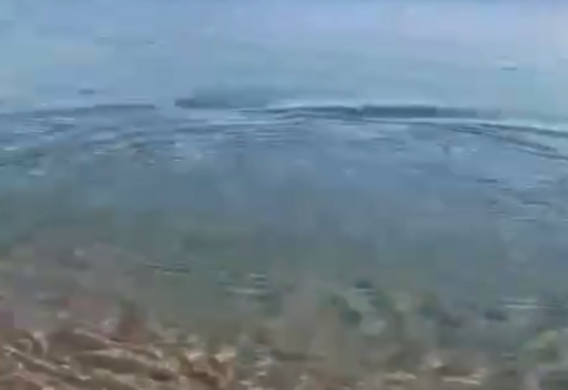 Пляжи на египетском курорте закрыли из-за появления акулы у берега