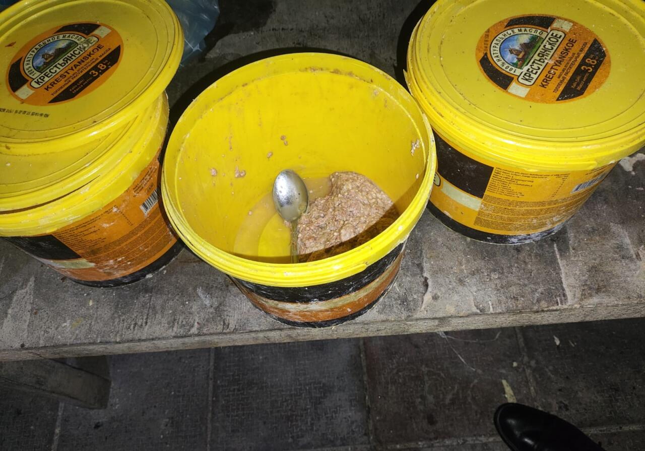 Ət qutabında at DNT-si aşkarlandı