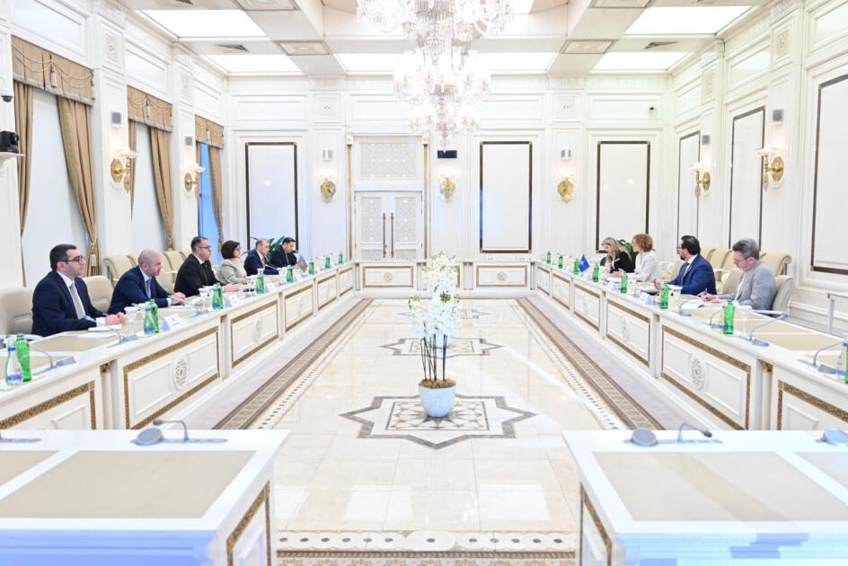 Сахиба Гафарова встретилась с заместителем генсека НАТО