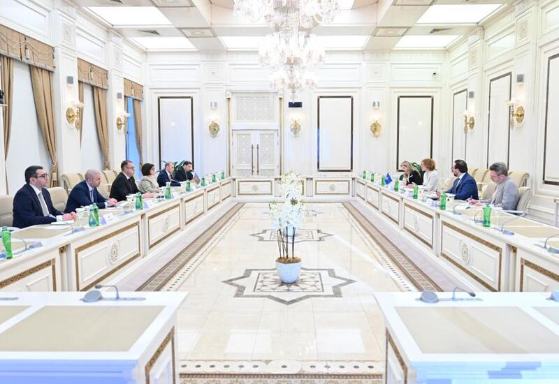 Sahibə Qafarova NATO Baş katibinin müavini ilə görüşüb