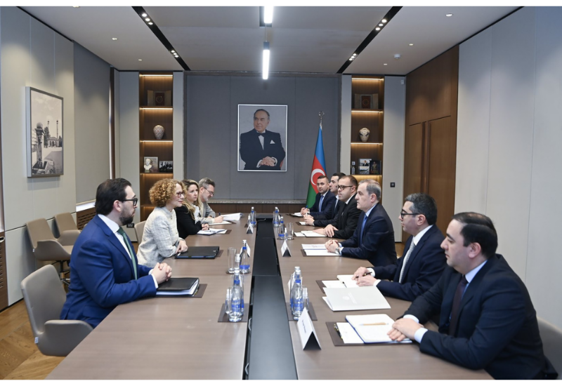 Azərbaycan NATO ilə bu sahədə əməkdaşlıq edə bilər