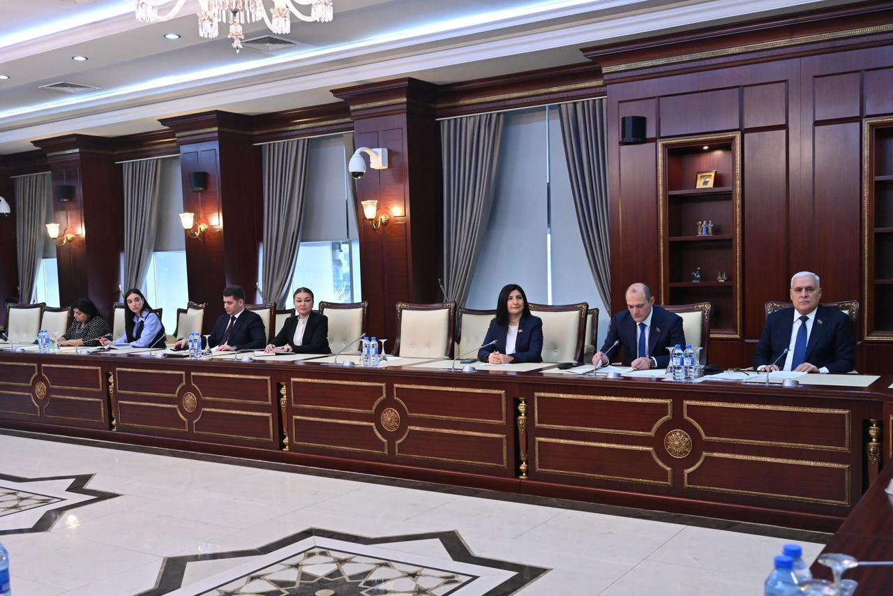 В комитете Милли Меджлиса Азербайджана по правам человека состоялось первое в этом году заседание