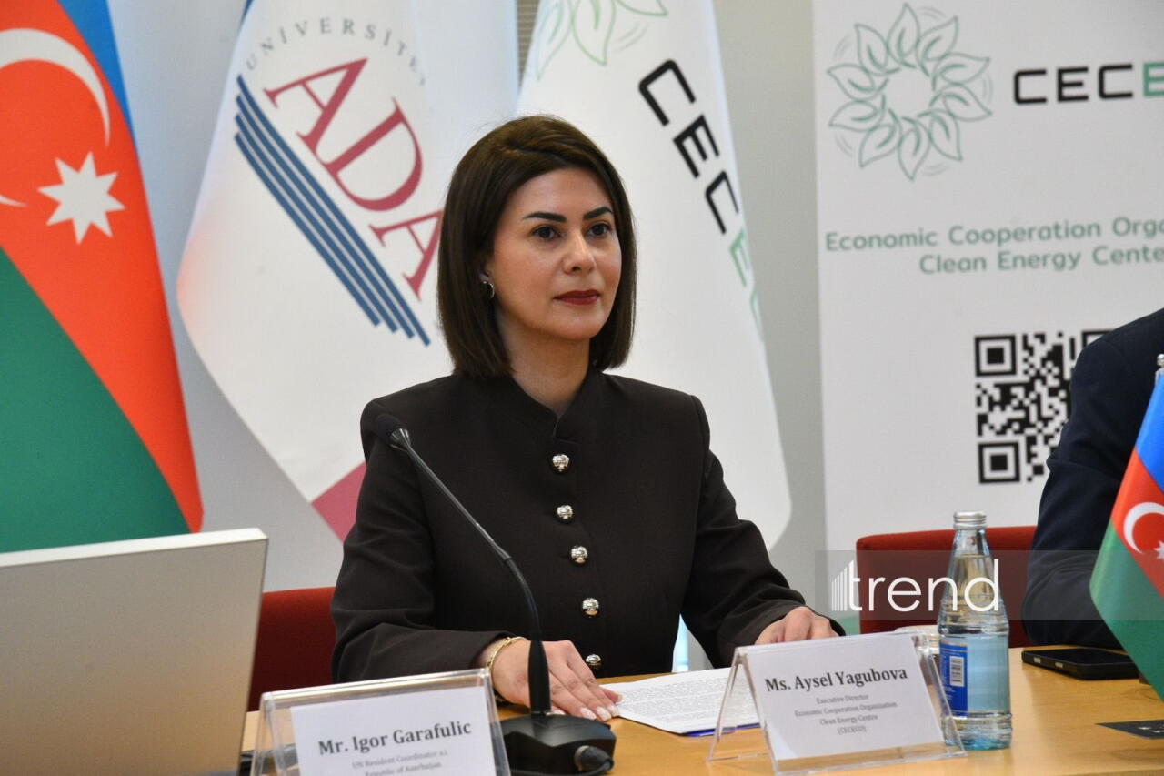 В Баку состоялось мероприятие по случаю Международного дня чистой энергии