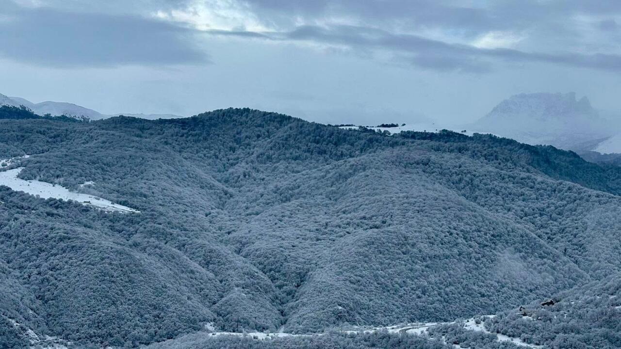 Göygöl ağ örpəyə bürünüb