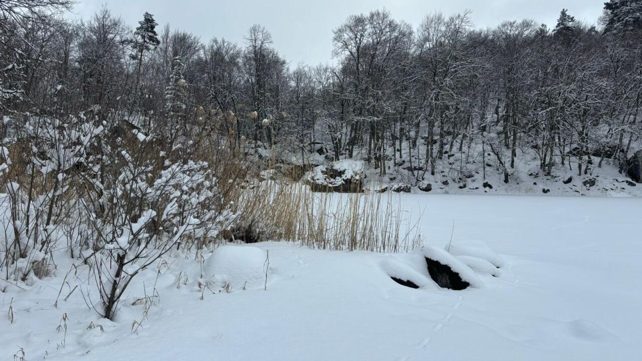 Göygöl ağ örpəyə bürünüb