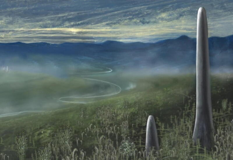 Гигантский организм неизвестной природы поставил ученых в тупик