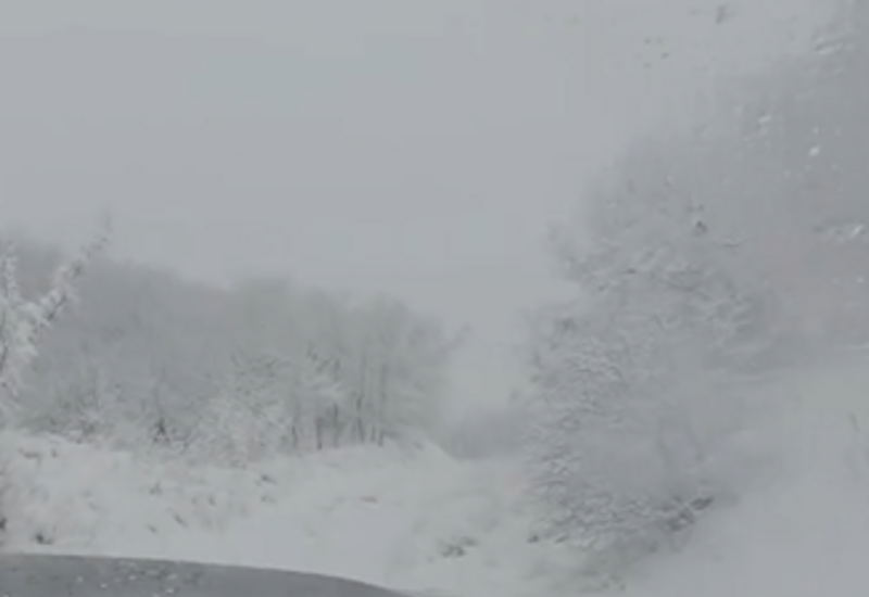 Автоблогер Фахри Асадов устроил снежный заезд в лесу