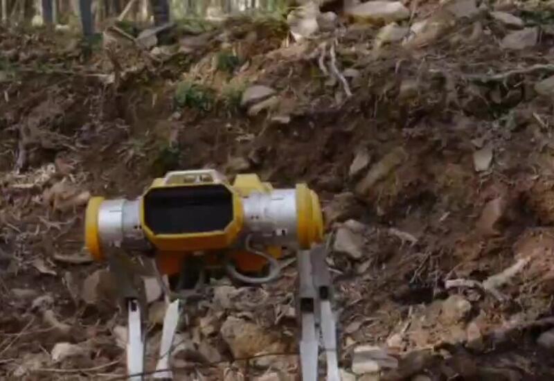 Презентовано новое поколение робособак