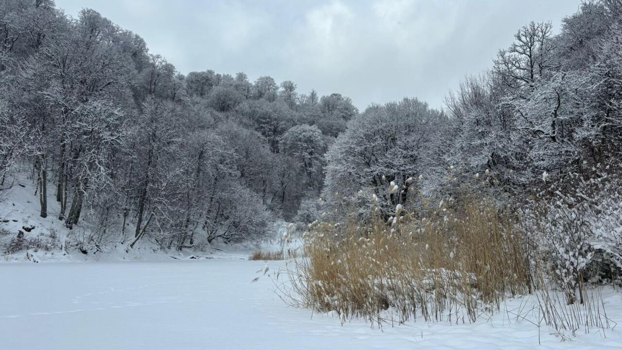 Гёйгёльcкий нацпарк окутал снег