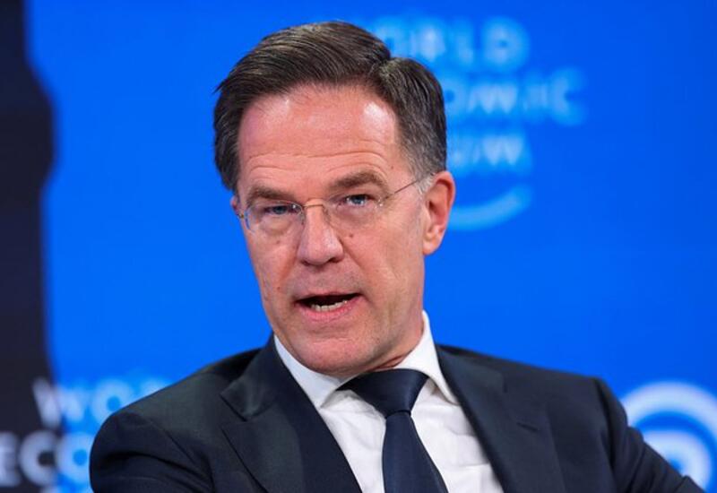 Рютте раскрыл детали переговоров с Трампом по Гренландии