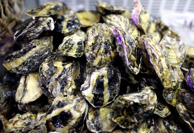 Названы три продукта, опасных для здоровья кишечника