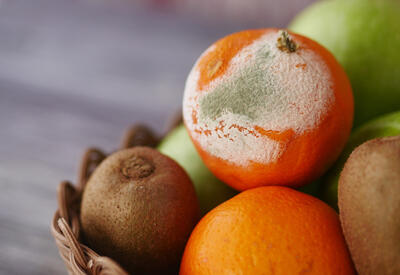 Названа ошибка, ведущая к быстрой порче фруктов и овощей