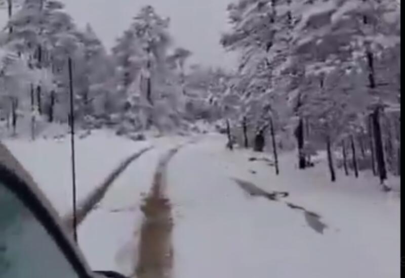 Сильный снегопад накрыл Мексику