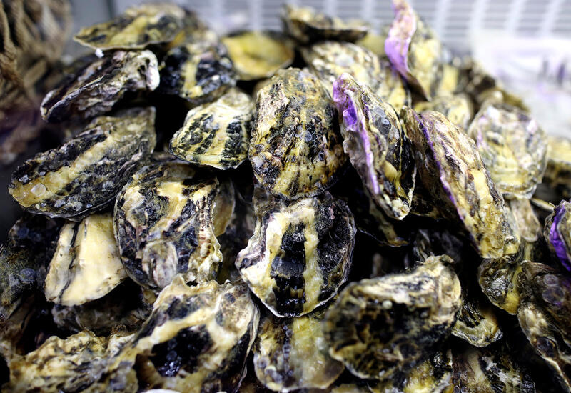 Названы три продукта, опасных для здоровья кишечника