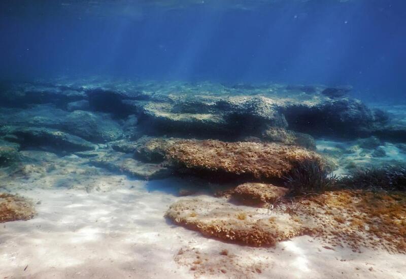 Ученые 10 лет наблюдали за дном океана: