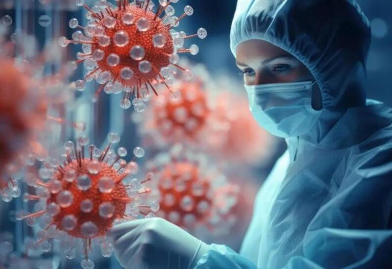 ВОЗ оценила риск распространения вируса Нипах