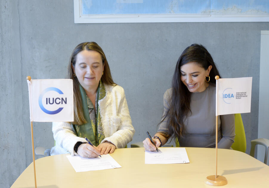 Вице-президент Фонда Гейдара Алиева Лейла Алиева и Гретель Агилар обсудили в Швейцарии возможности сотрудничества