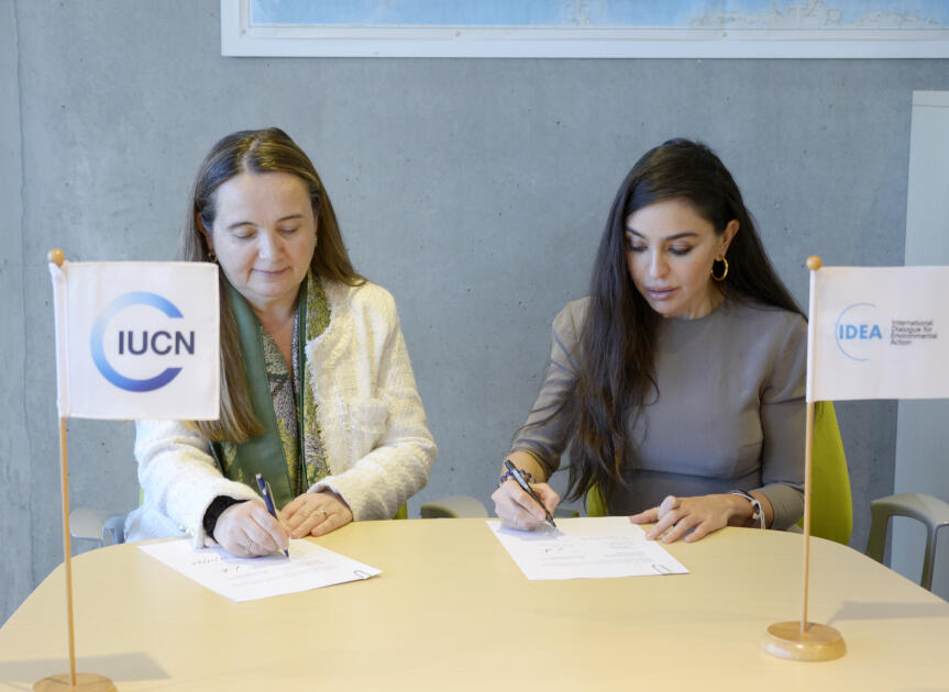 Вице-президент Фонда Гейдара Алиева Лейла Алиева и Гретель Агилар обсудили в Швейцарии возможности сотрудничества