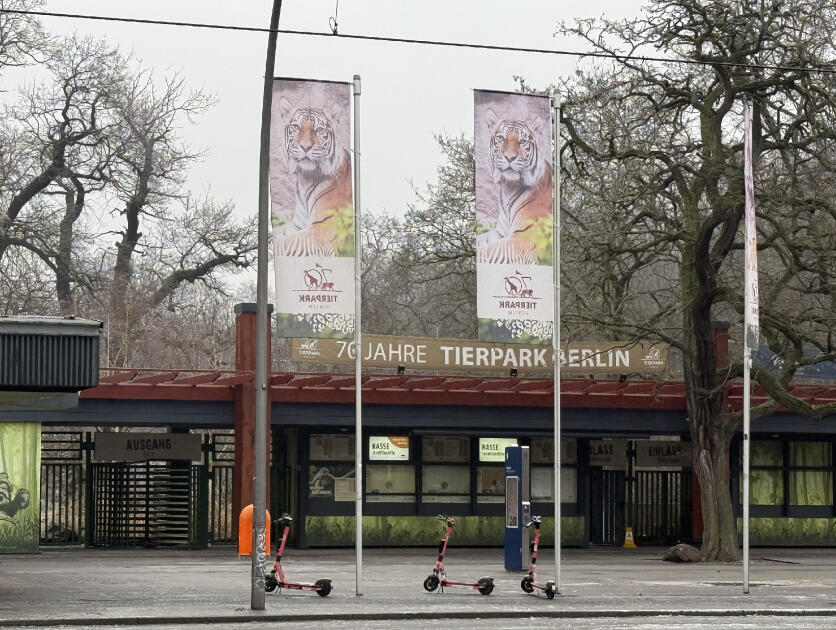 Almaniyadan Azərbaycana 18 zubr yola salınıb